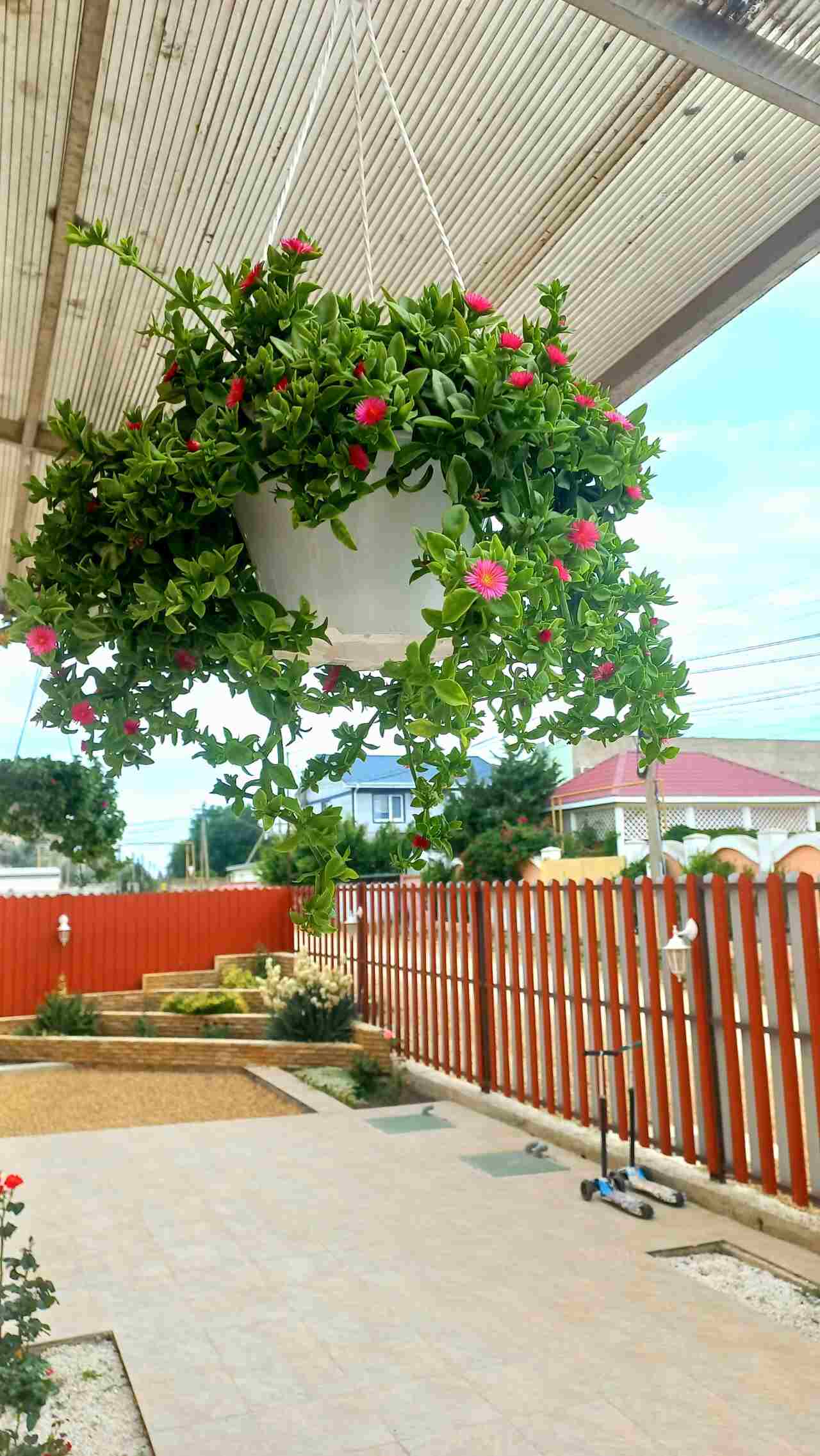 Гостевой дом Гостевой дом "НИКА" Поповка-18