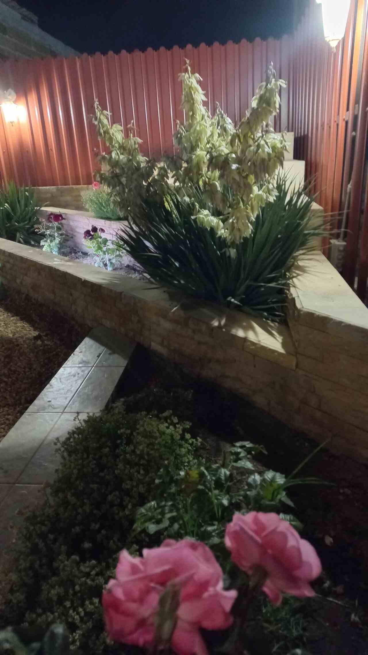 Гостевой дом Гостевой дом "НИКА" Поповка-31