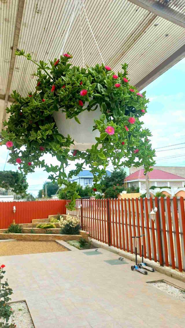 Гостевой дом Гостевой дом "НИКА" Поповка-17