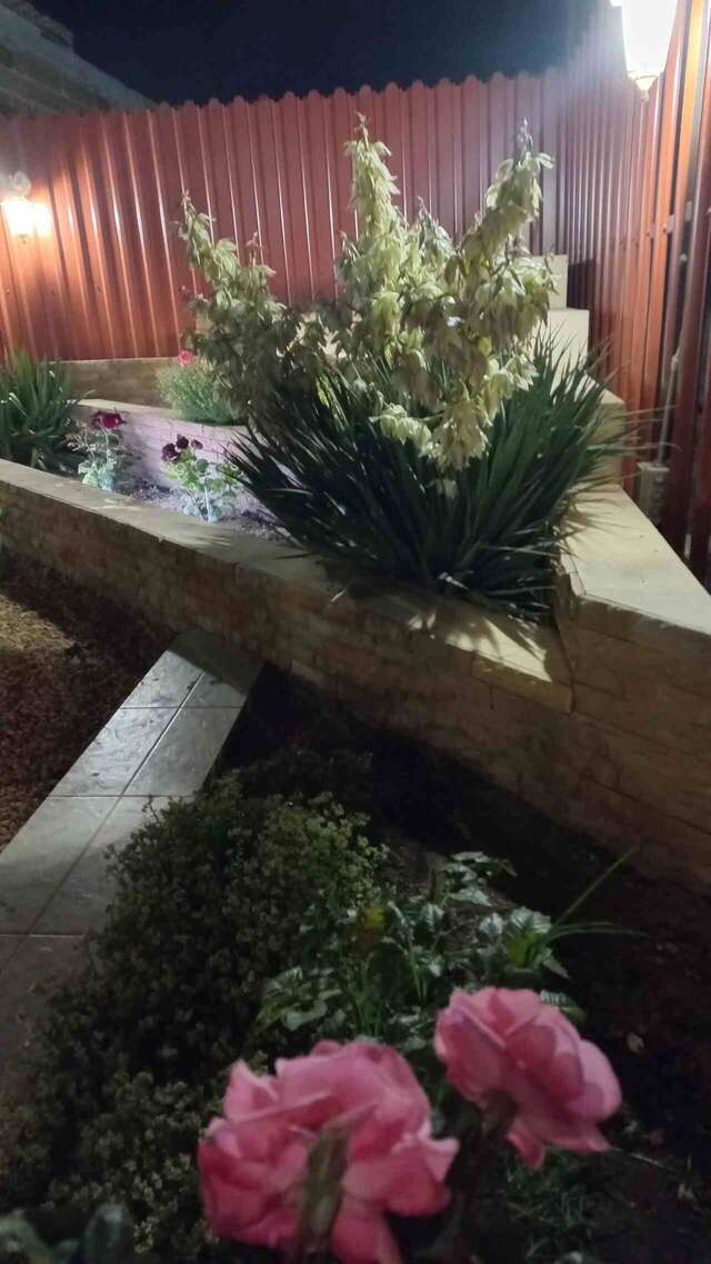 Гостевой дом Гостевой дом "НИКА" Поповка-30